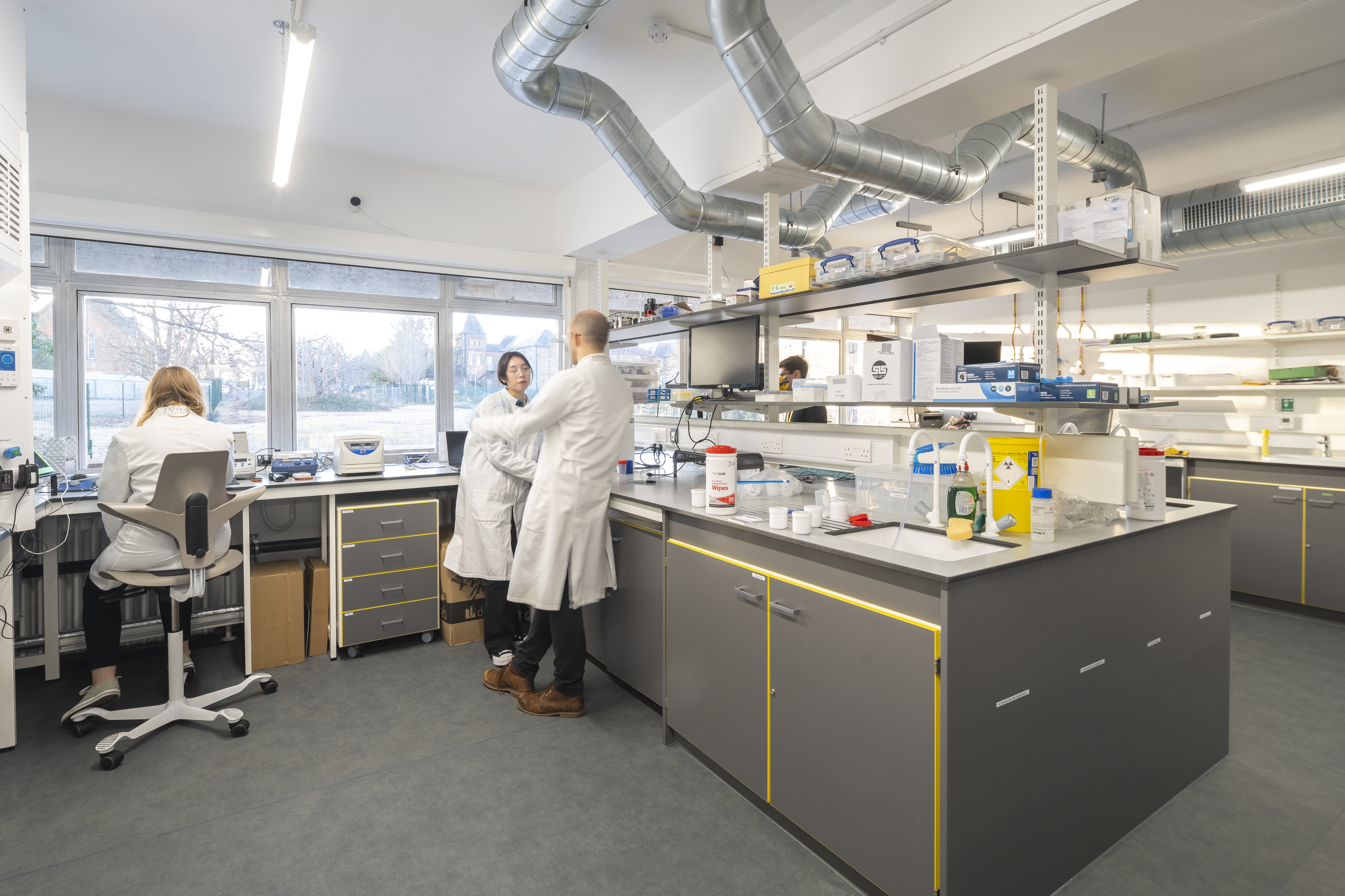 Photo of Lab at Sutton Cancer Hub