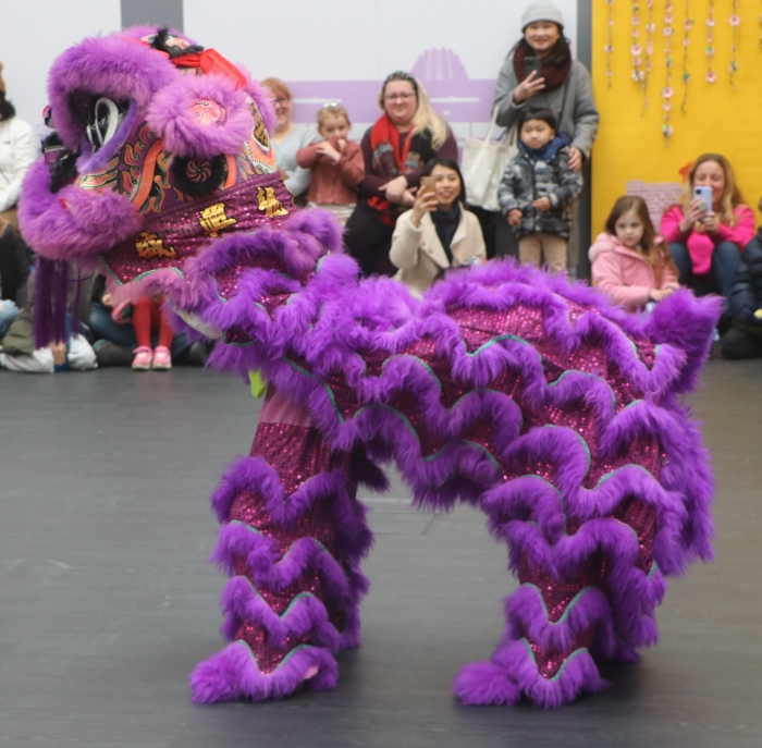 Purple dragon from Chinese new year celebration