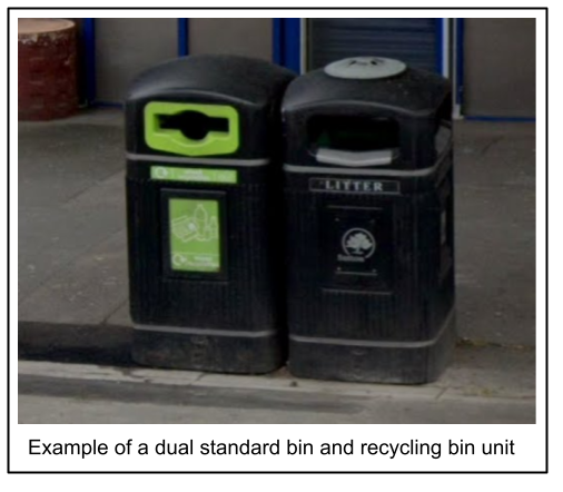 Dual litter and recycling bin