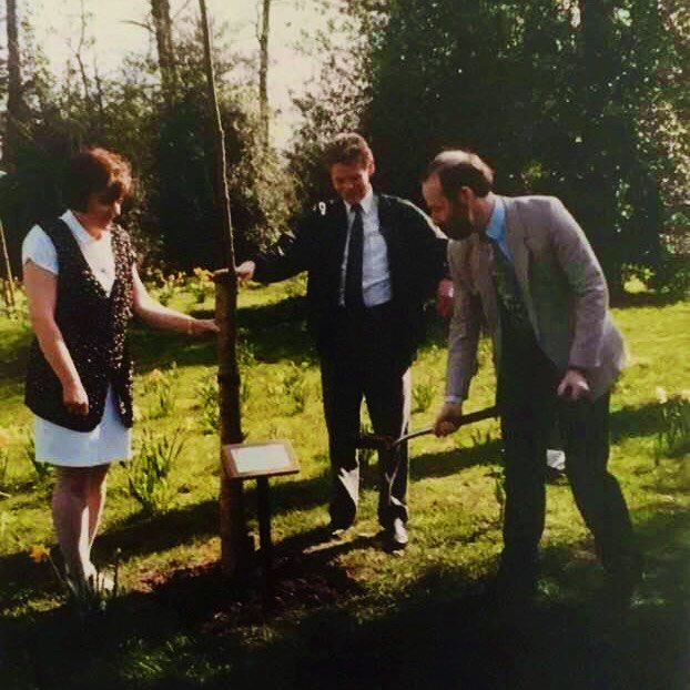 A tree being planted in 1999