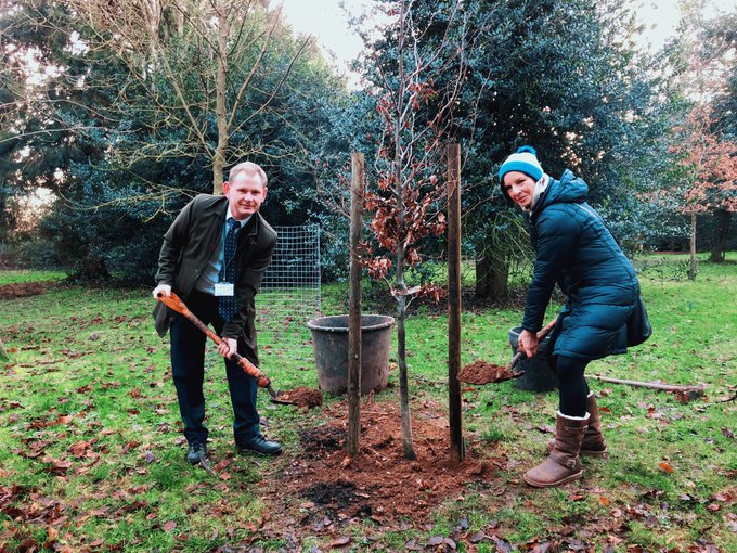Two people stood next to a newly planted tree with spades in their hands
