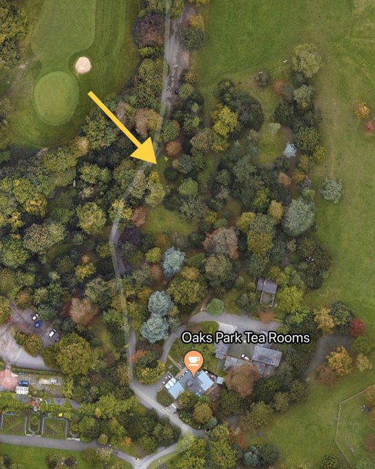 Screenshot of a satellite view of a section of Oaks park, where the newly planted tree can be found 