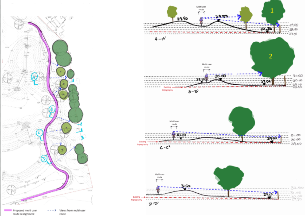 Designs to address concerns about the privacy of properties on St Clair Drive
